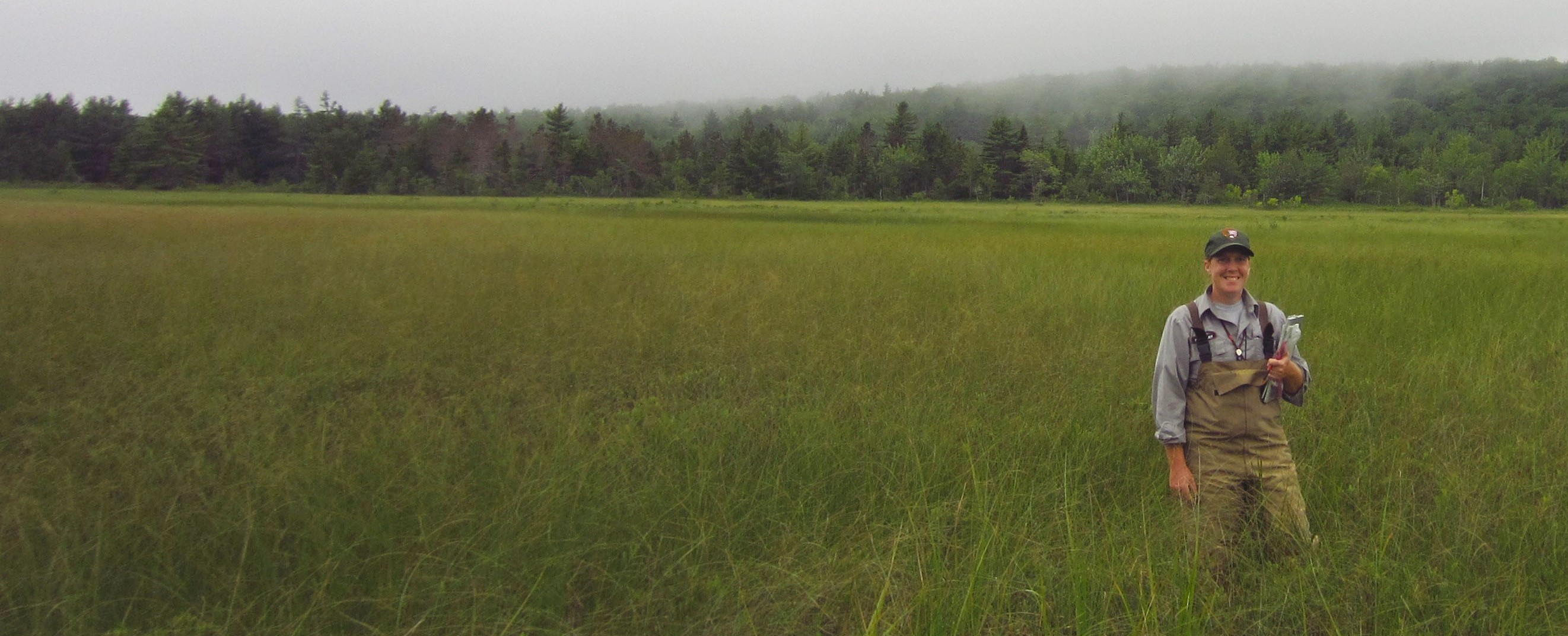 Photo of Kate in Acadia wetland